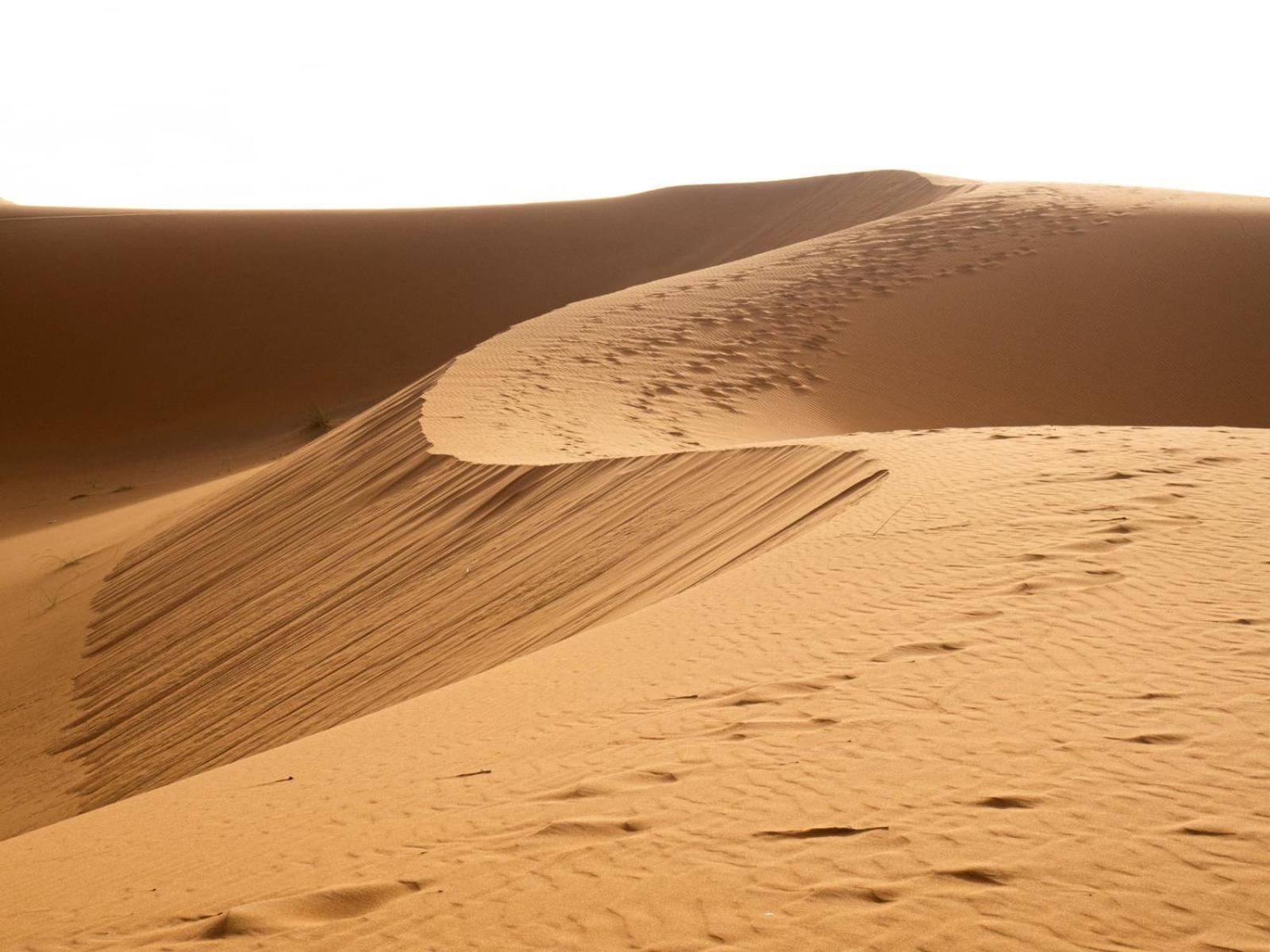 Maison Merzouga Guest House Εξωτερικό φωτογραφία